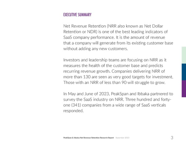 Net Revenue Retention - Page 3